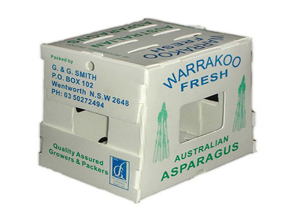  Fruit&vegetable packaging box